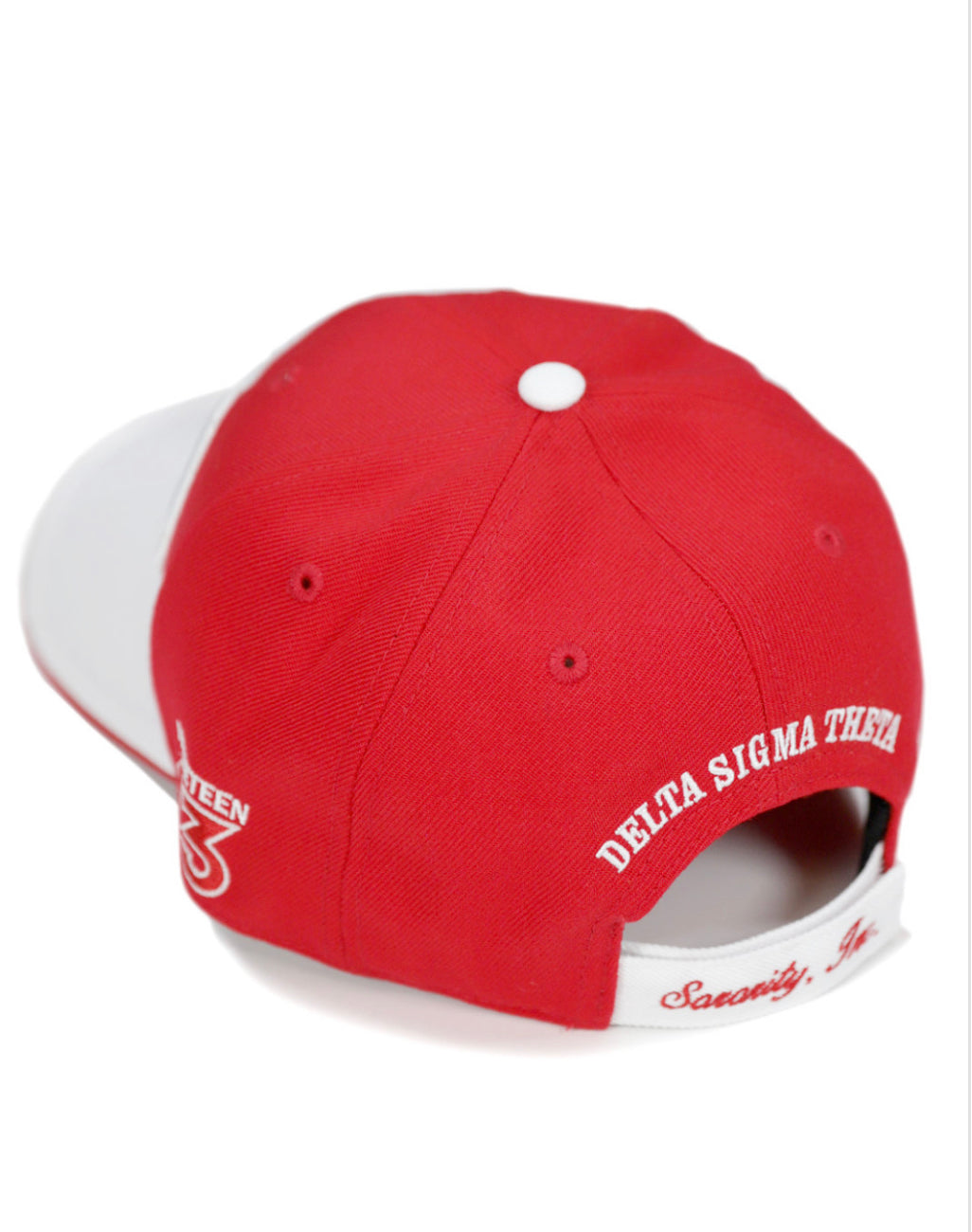 Delta Sigma Theta Baseball Cap